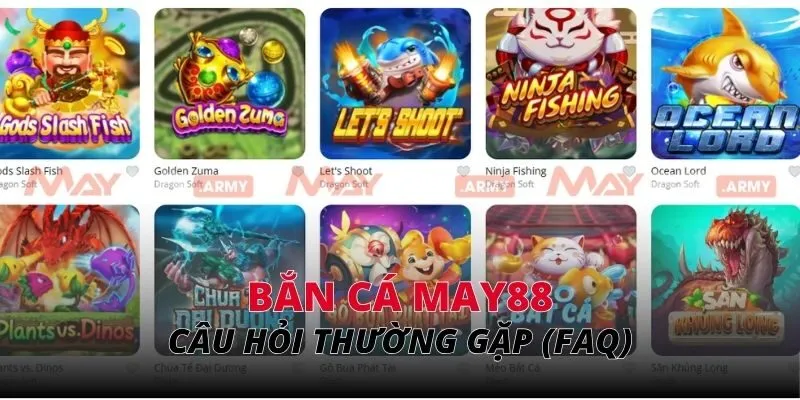 Câu hỏi thường gặp (faq)